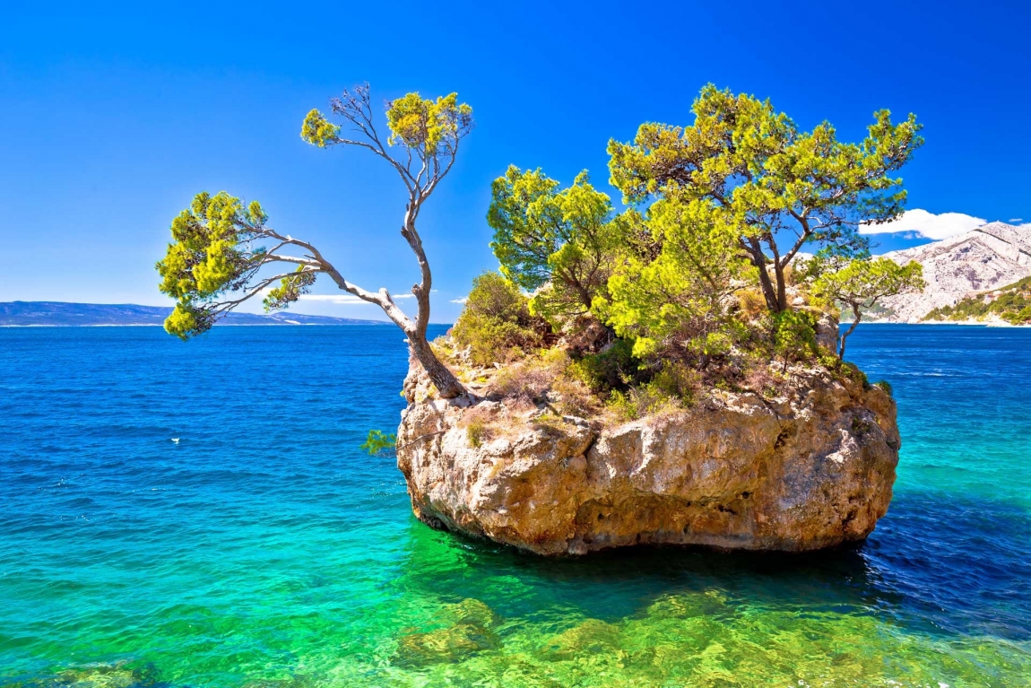 makarska rock and tree croatia holidays