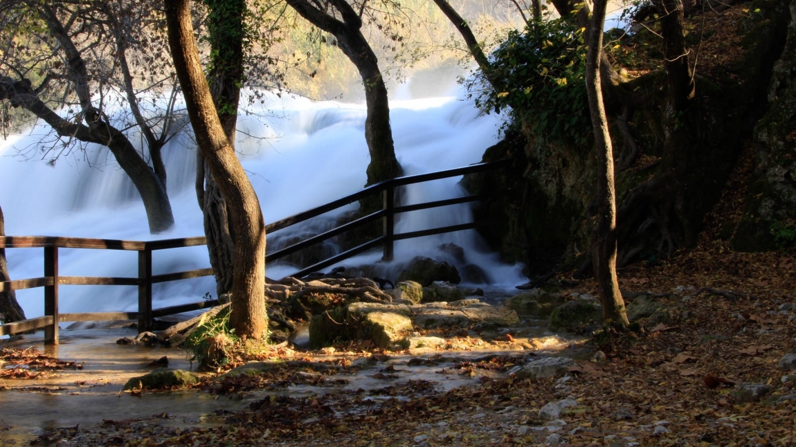 krka waterfall and tree croatia holidays