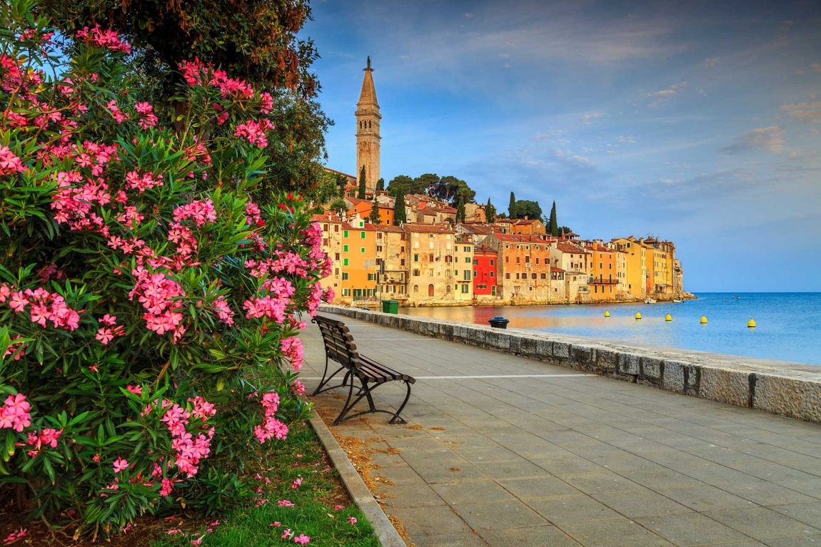 rovinj flower and street croatia holidays