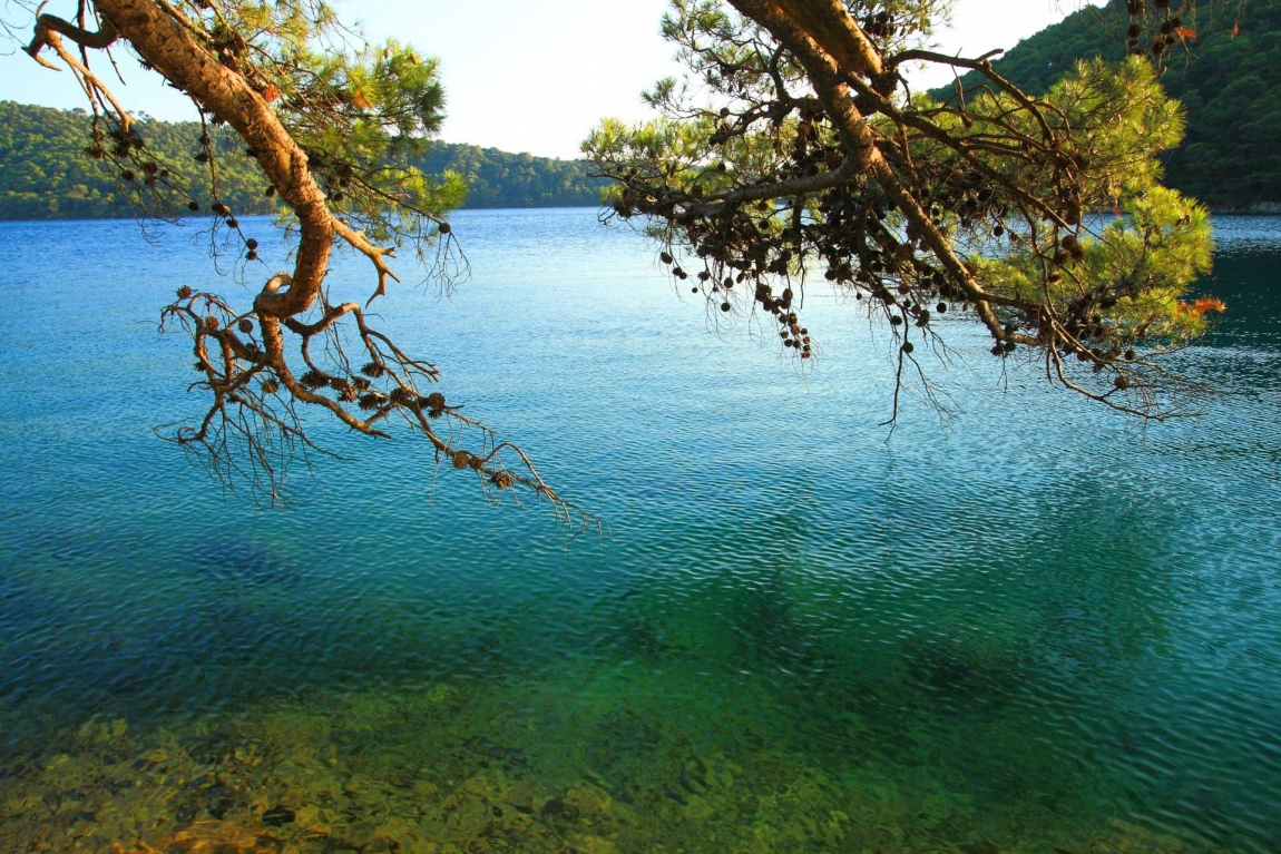 mljet national park lake croatia holidays