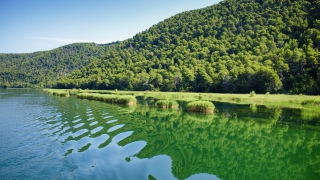 Krka