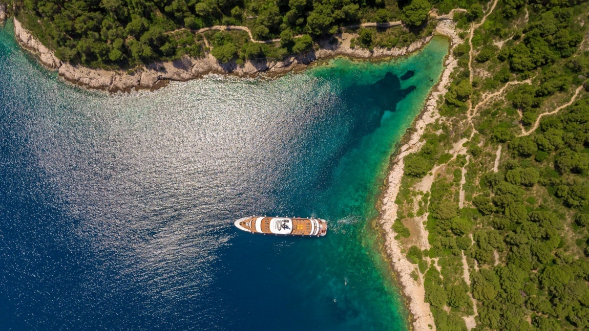 Black Swan | Croatia Holidays